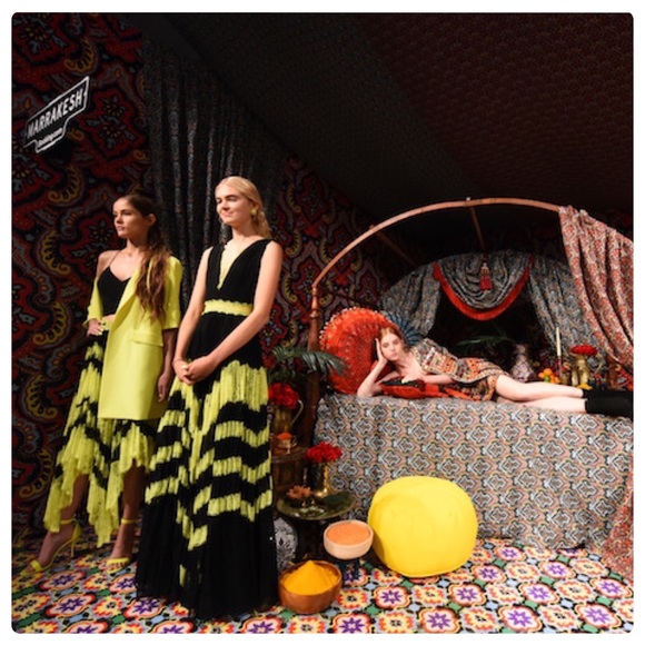 ALICE + OLIVIA Katz Lace Pleated Midi Skirt - Picture 13 of 15